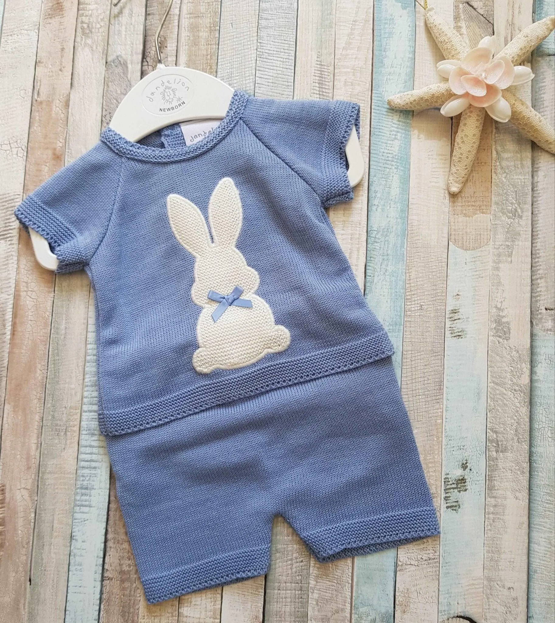Baby Boys Blue Bunny Top And Short Set