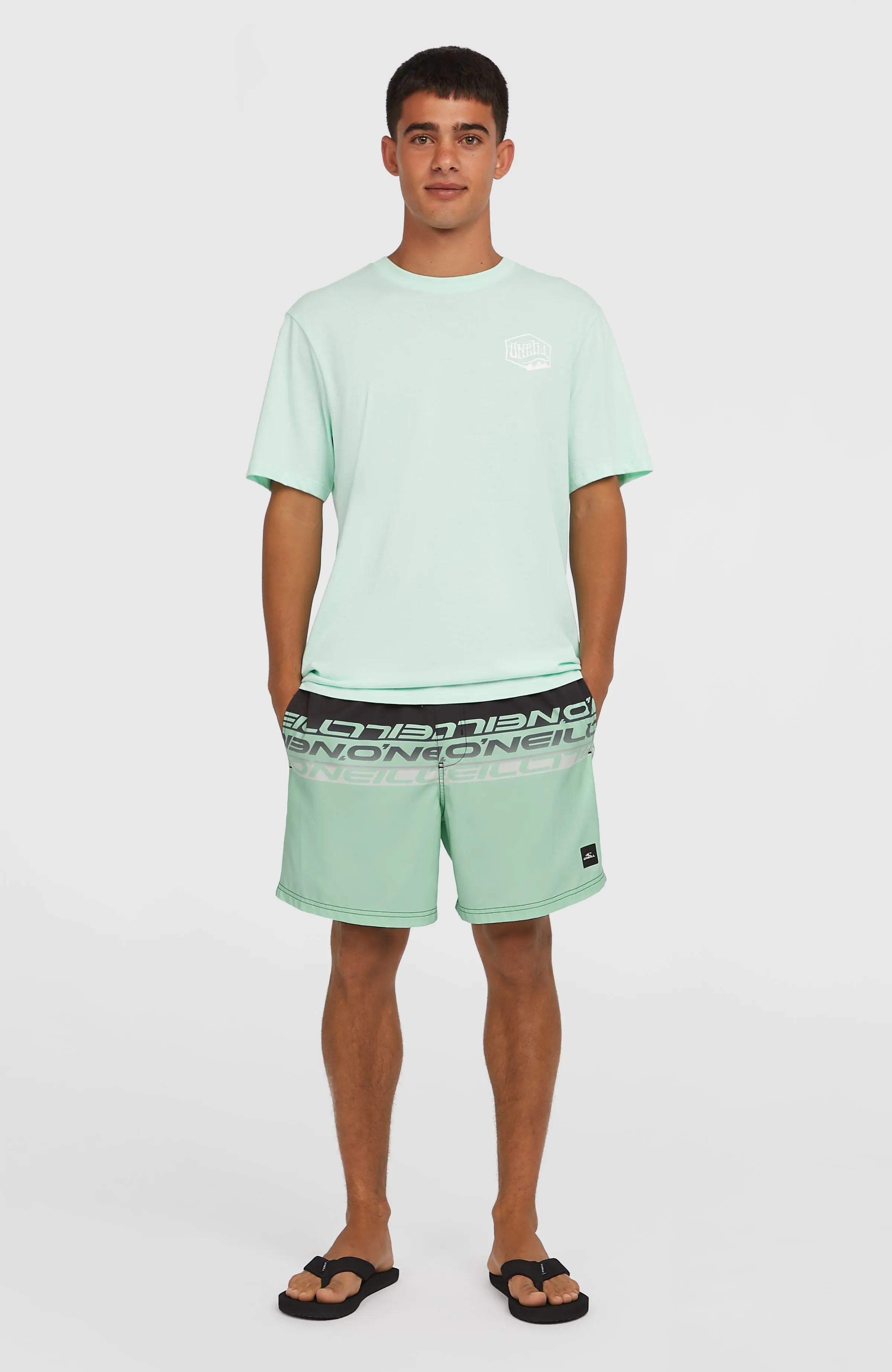 Cali Stripe 16'' Badehose | Green/Black Upside Down Clean