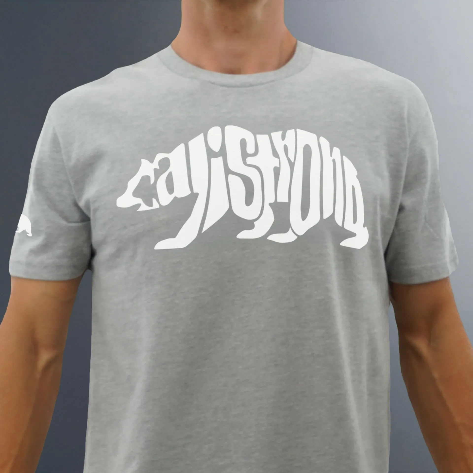 CALI Strong Word Bear Max T-shirt Grey Glow in the Dark