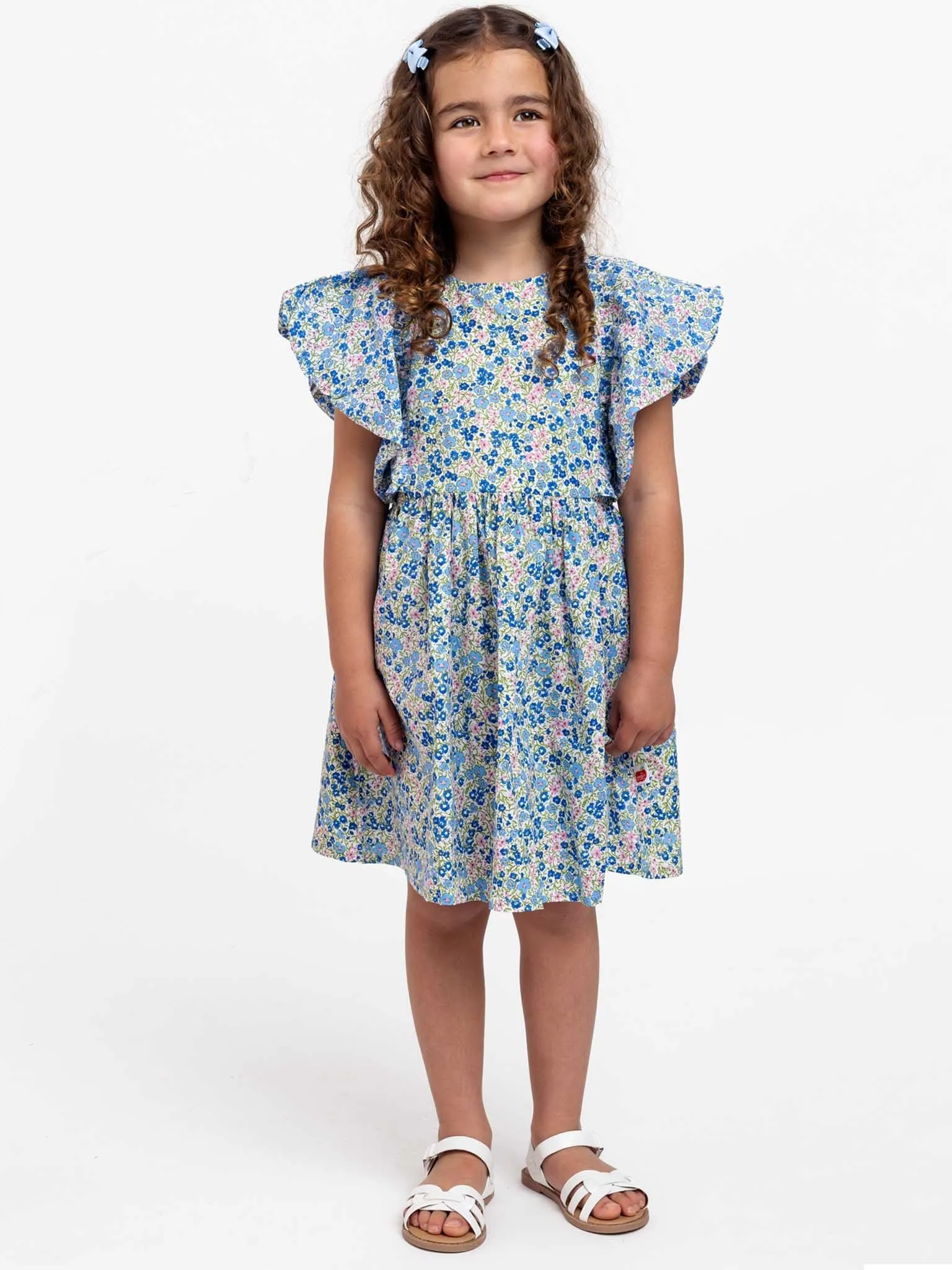 Cottage Flower Puff Sleeve Dress