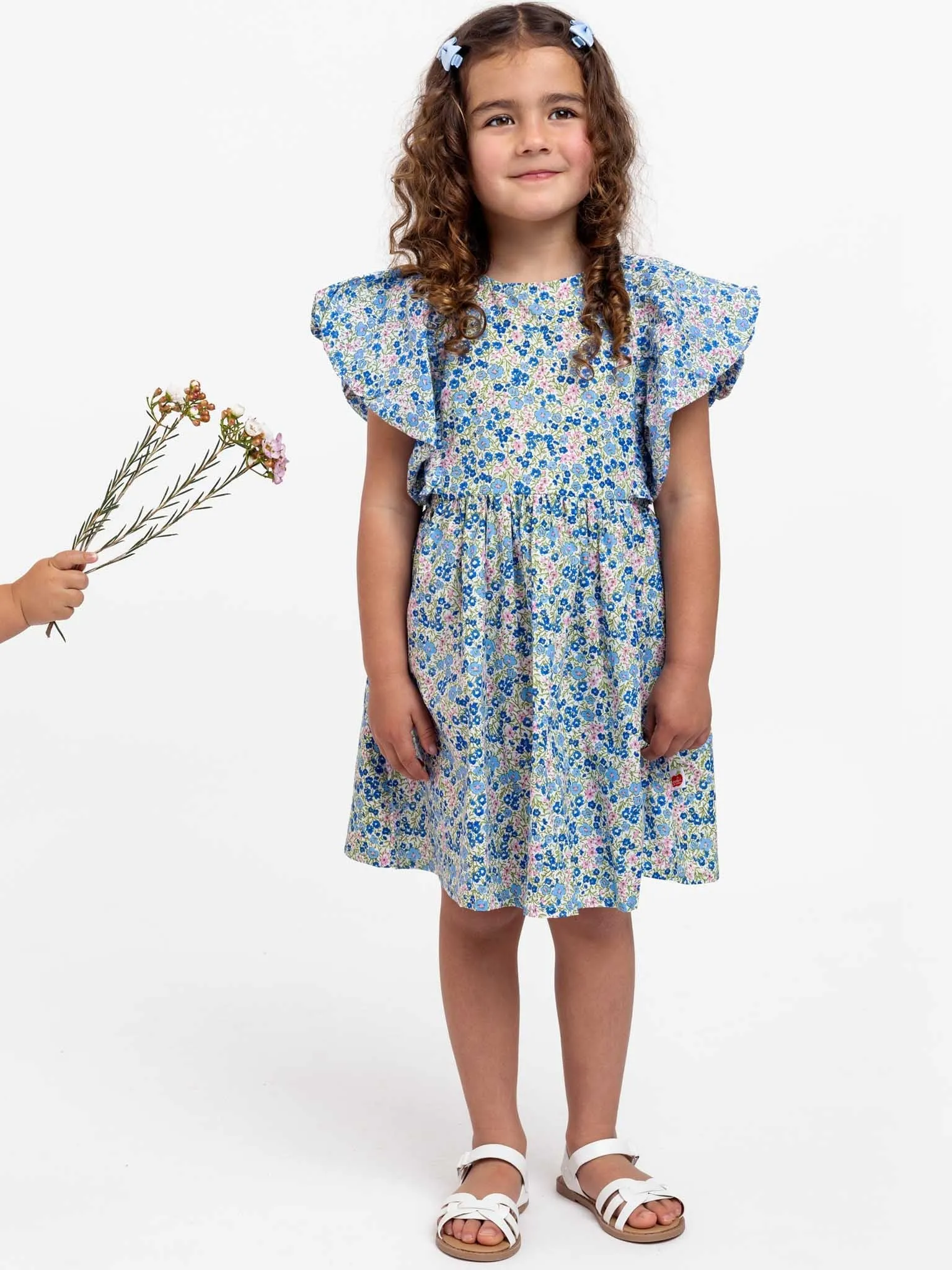 Cottage Flower Puff Sleeve Dress