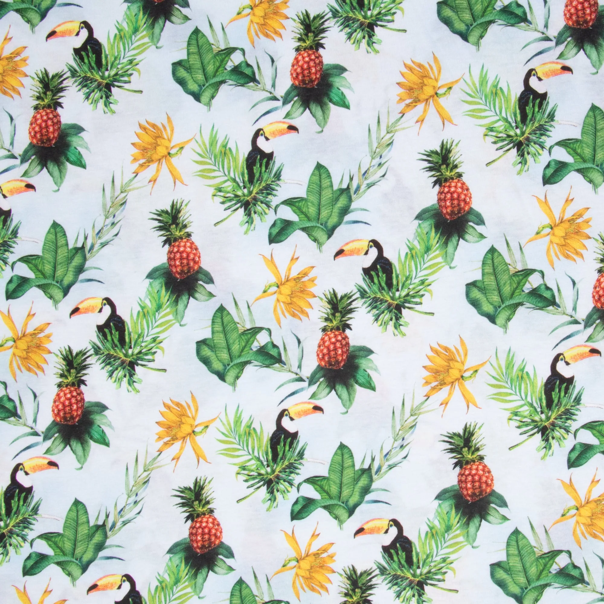 Cotton Knit Macaw Tropical