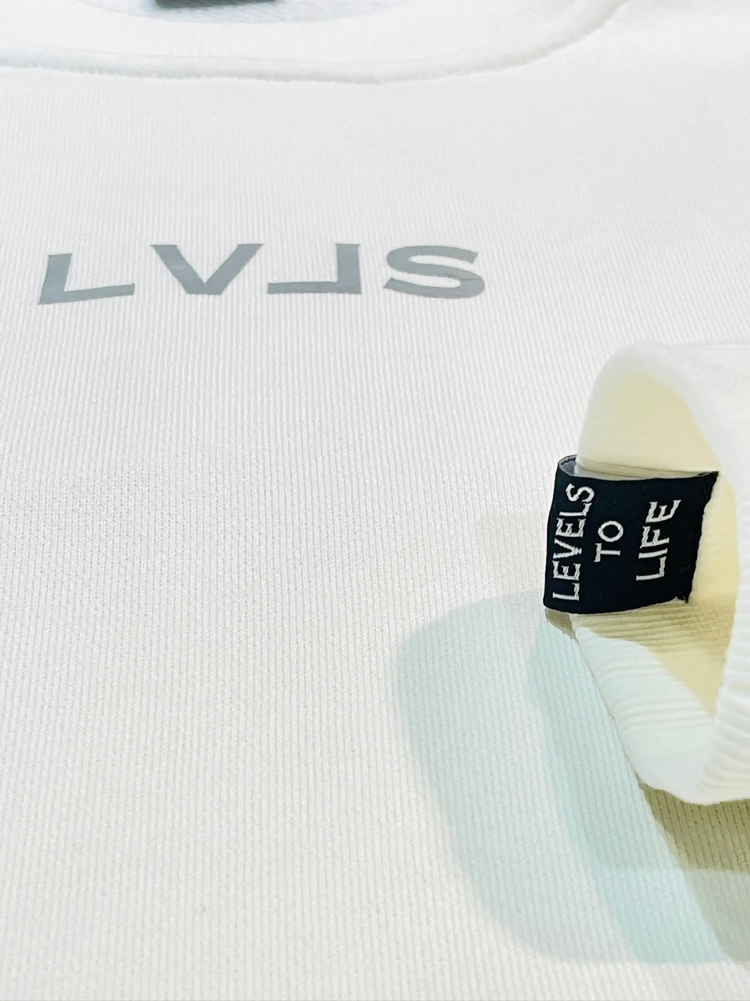 LEVELS OVERSIZED CREWNECK | LAUREN SHIREE EDITION