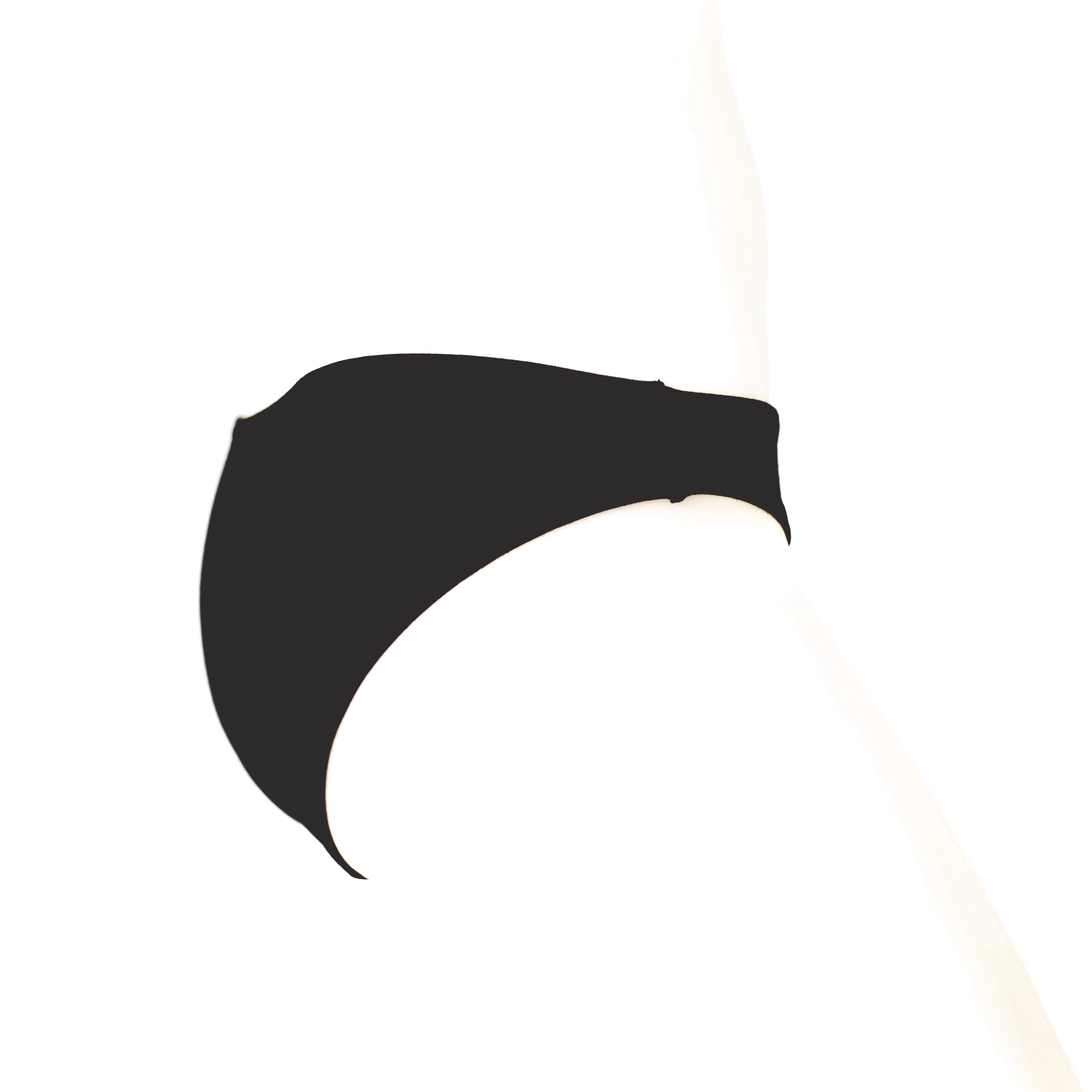 LITTLE BLACK PANTY