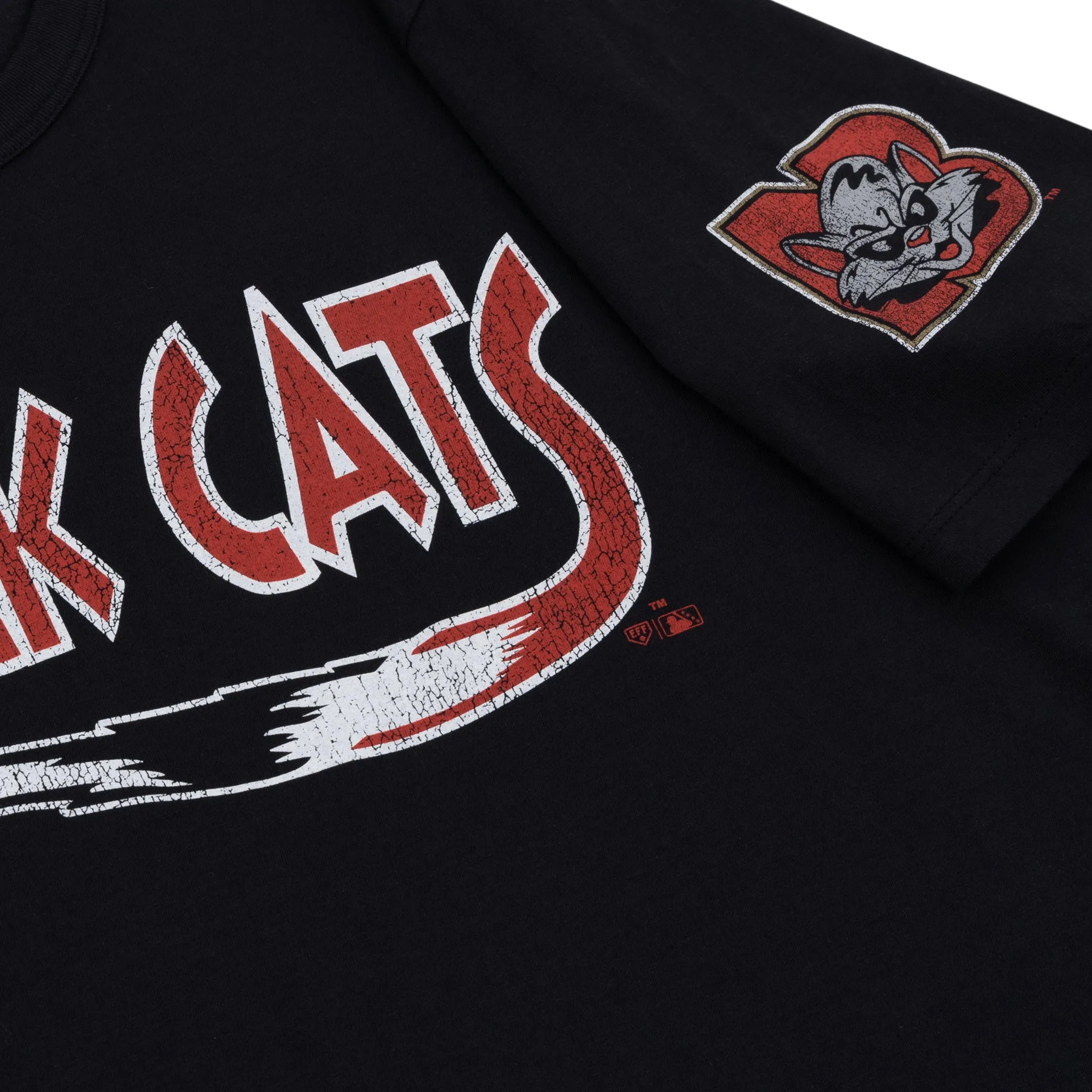 New Britain Rock Cats EFF MiLB Vintage T-Shirt