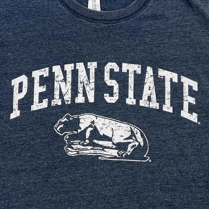 Penn State Lion Shrine Vintage Washed T-Shirt