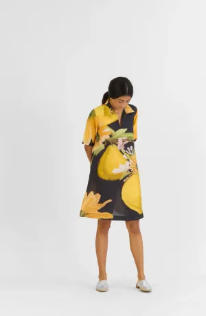 Pomello Short Dress