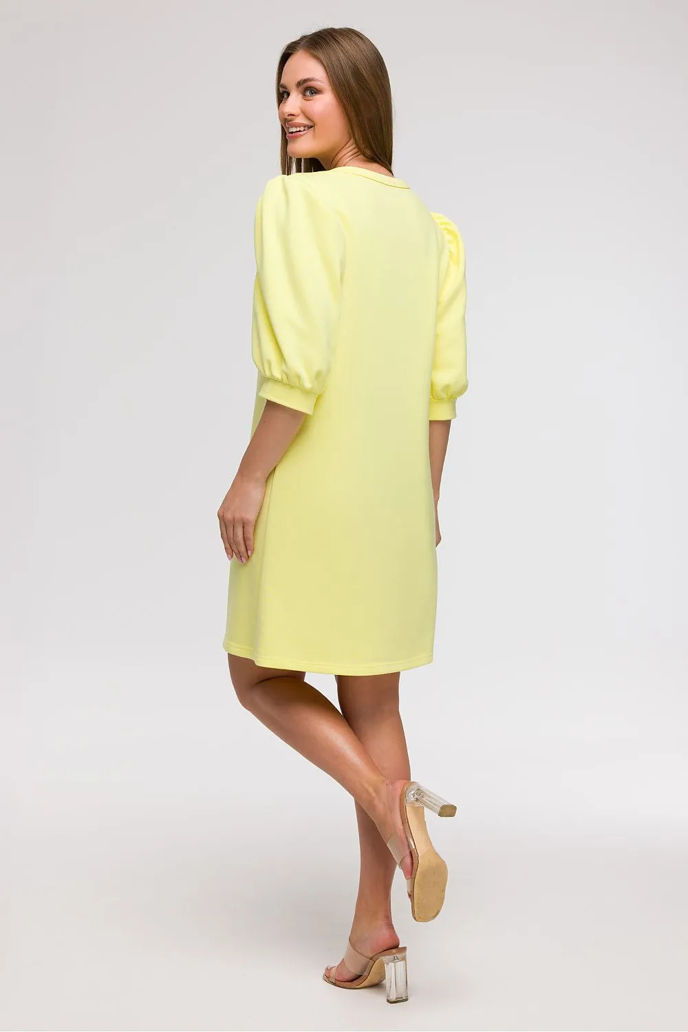 Puff Sleeve A-Line Day Dress