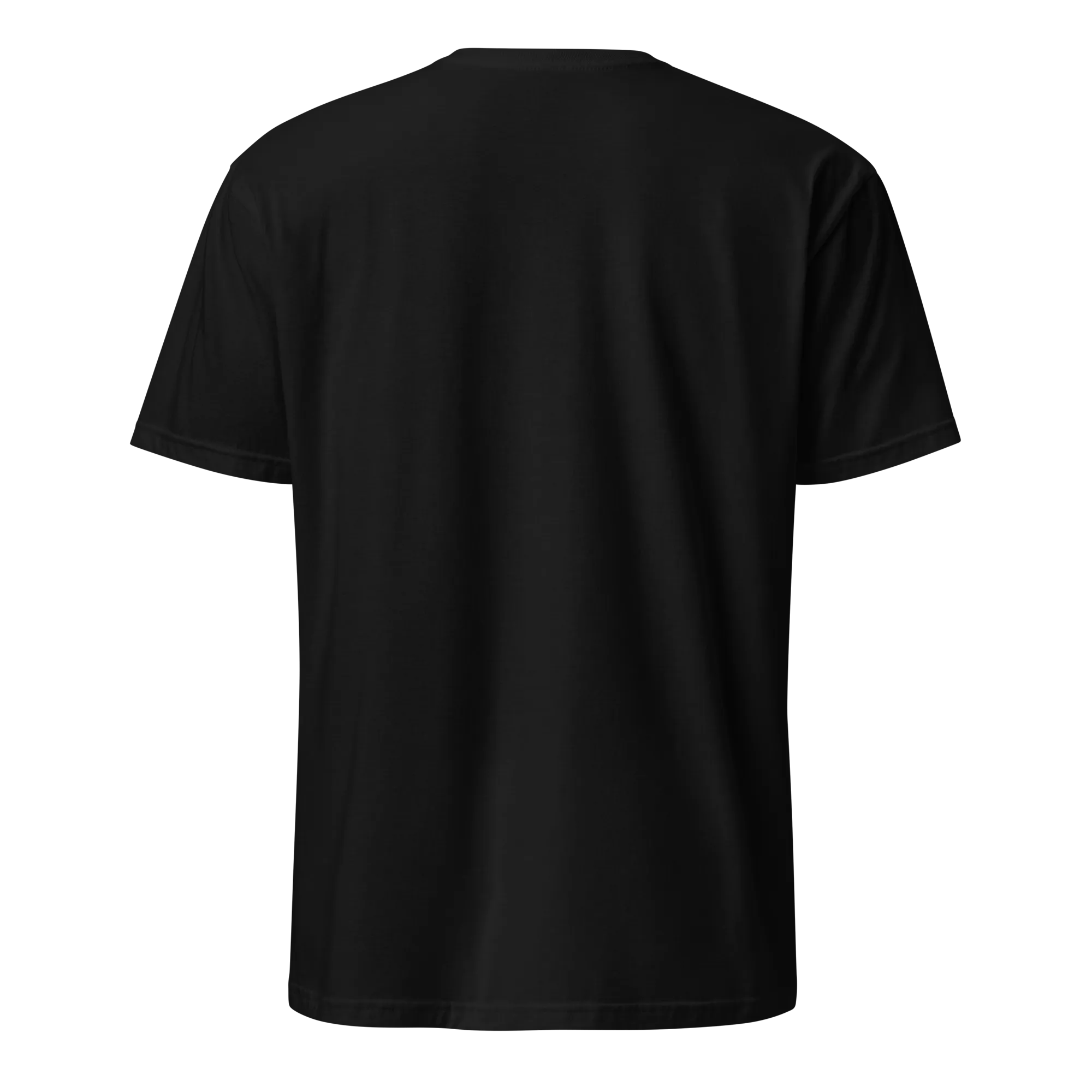 Raised on Pica Pollo Unisex Dominican T-Shirt