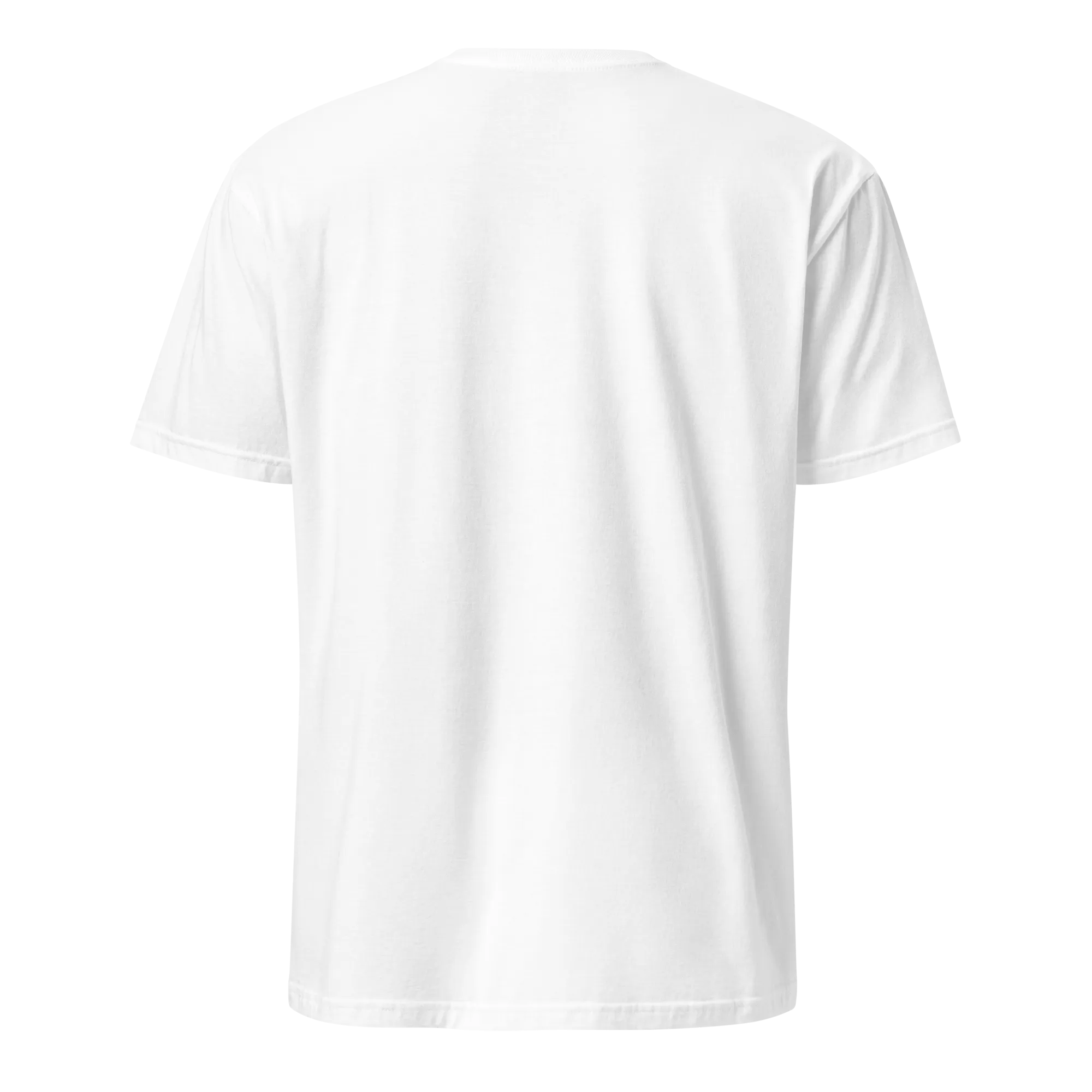 Raised on Pica Pollo Unisex Dominican T-Shirt