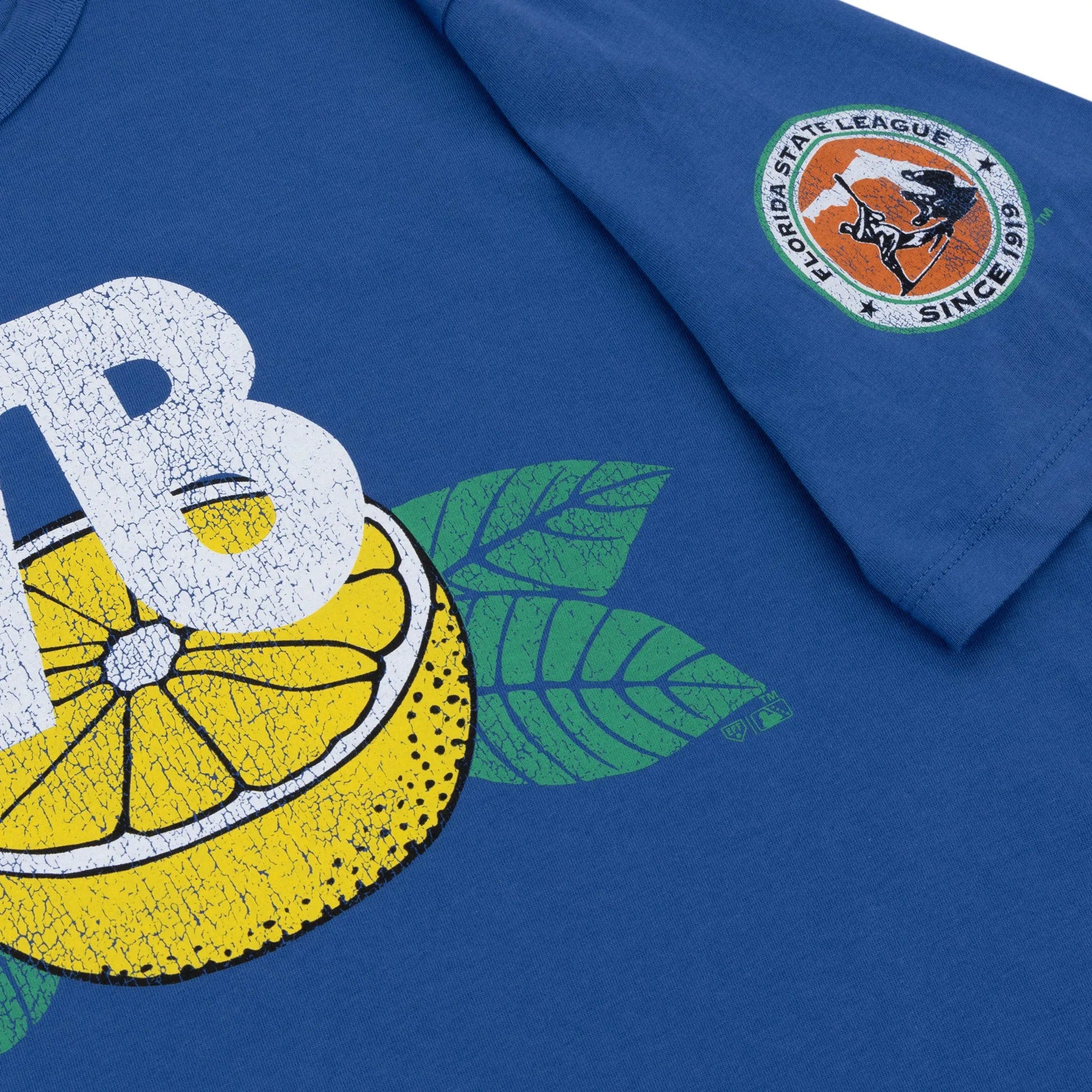 Vero Beach Dodgers EFF MiLB Vintage T-Shirt